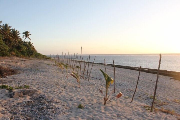 Beach 22 of 31