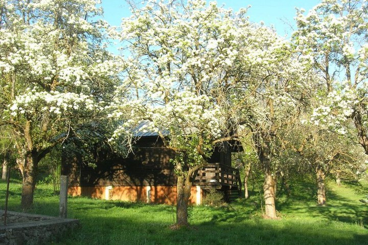 Room 4 of 74