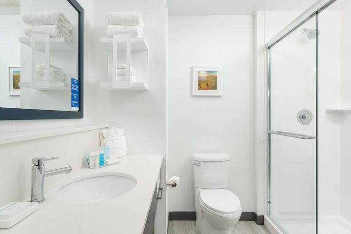 Bathroom shower