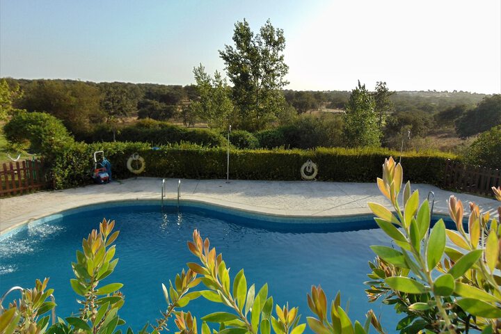 Pool 41 of 75