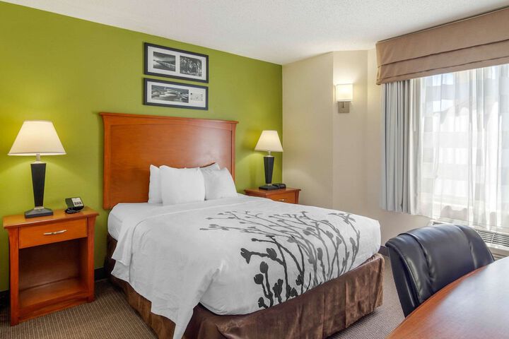 1 Queen Bed (11 of 16)