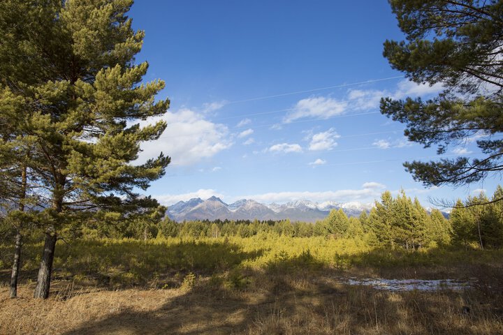 Property Grounds 27 of 33