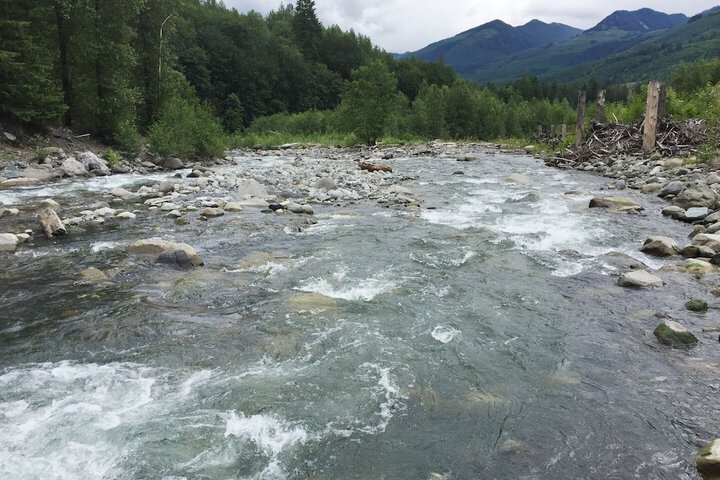 Property Grounds 37 of 40