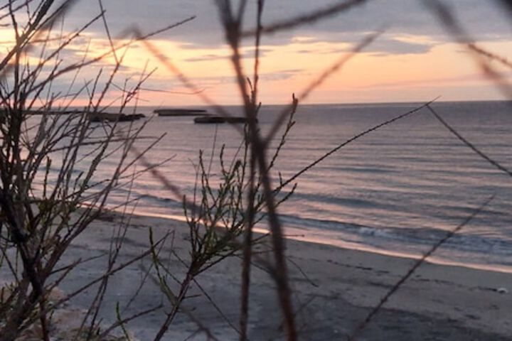 Beach 50 of 64