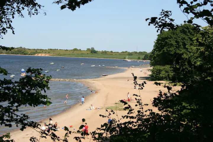 Beach 50 of 55