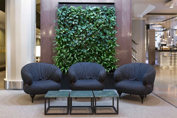 Guest Lobby
