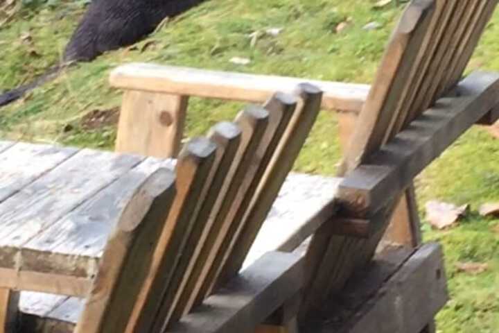 Hotel View 294 of 311