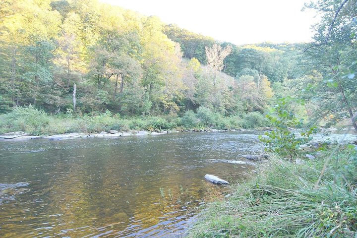 Property Grounds 36 of 43