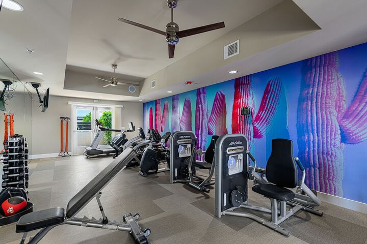 Health and Fitness 36 of 61