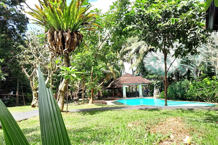 Pool 14 of 26