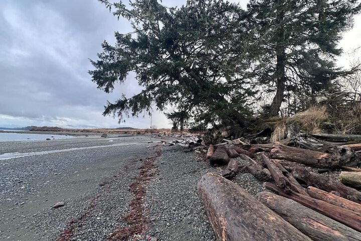 Beach 56 of 64