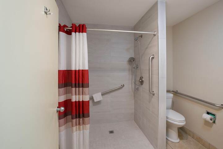 ADA Accessible Deluxe 2 Queen Beds with Roll in Shower (14 of 16)