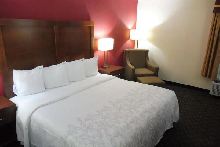 Standard Room, King or Two Doubles (1 of 8)