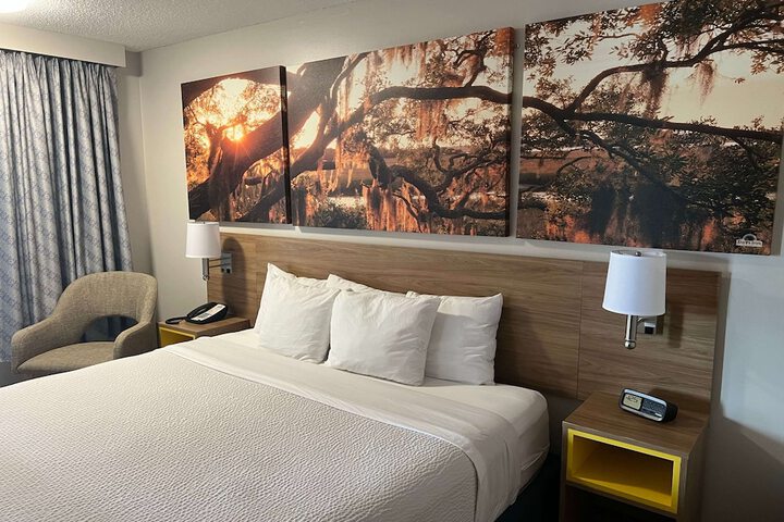 1 King Bed (9 of 12)