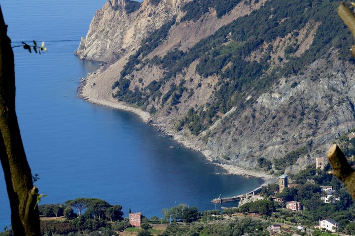 Lecci Di Soviore in Monterosso al Mare
