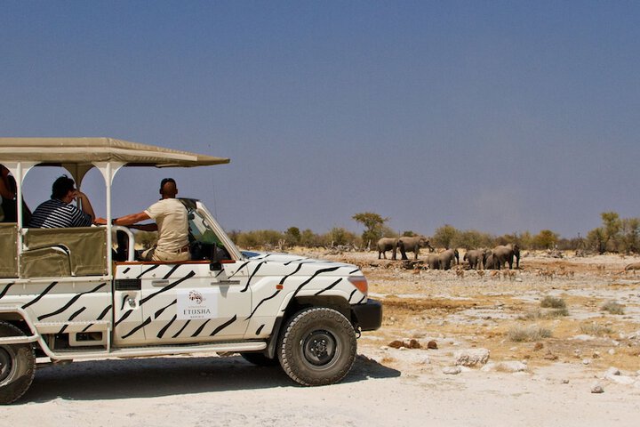 Safari
