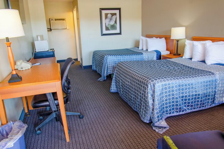 Single Room 1 Queen Bed (1 of 26)