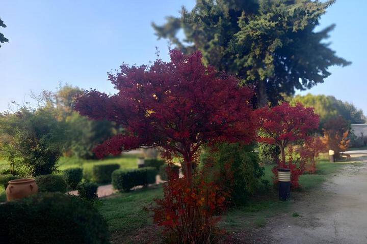 Fitness Center Photo