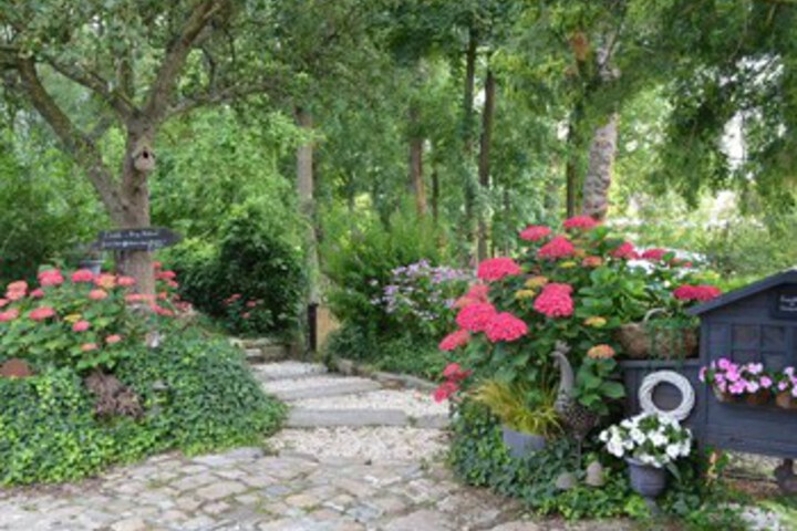 Spa and Wellness Pictures