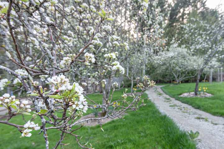 Property Grounds 35 of 50