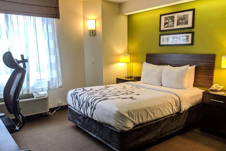 1 Queen Bed (3 of 6)