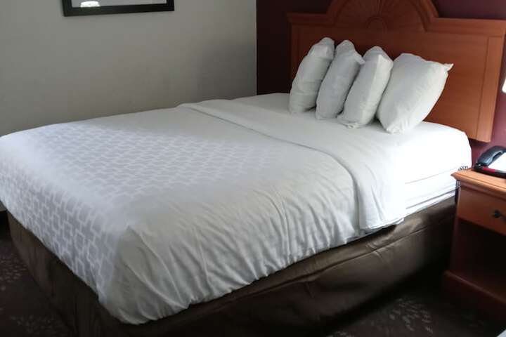 2 Queen Beds (14 of 17)