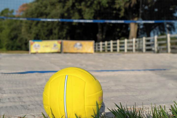 Sport court