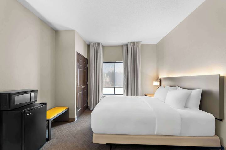 Suite Queen Bed Accessible (10 of 15)