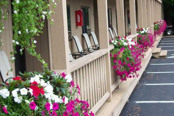 Hotel 55 of 65