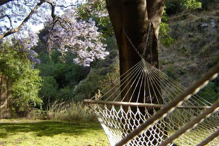 Property Grounds 24 of 29