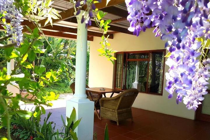 Terrace/Patio 14 of 24