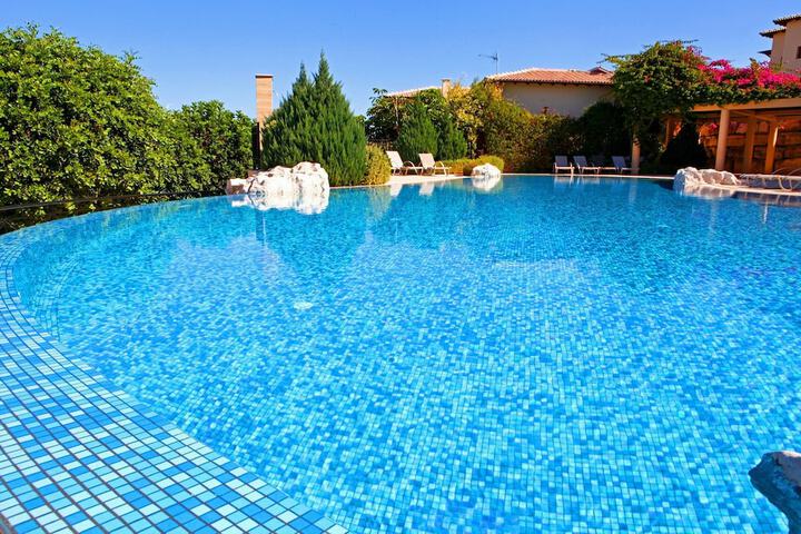 Pool 102 of 146