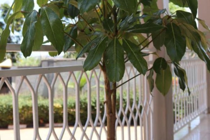 Terrace/Patio 17 of 23