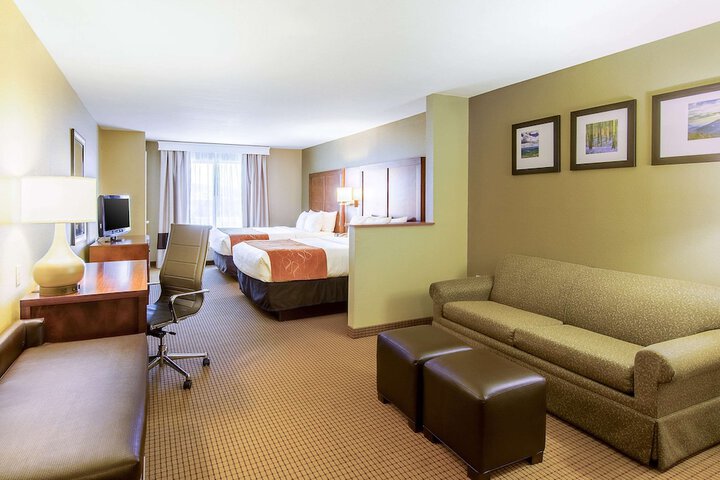 1 Bedroom Suite (1 of 8)