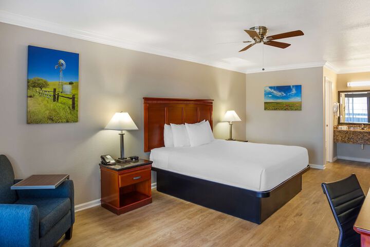 1 King Bed (9 of 18)