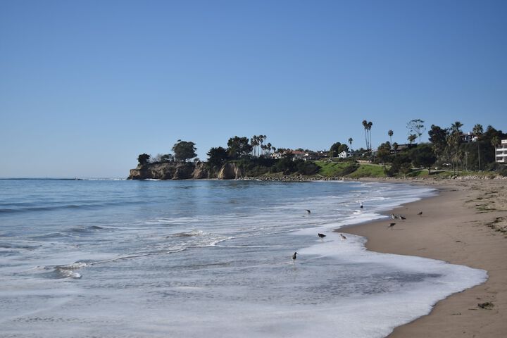 Beach 218 of 221