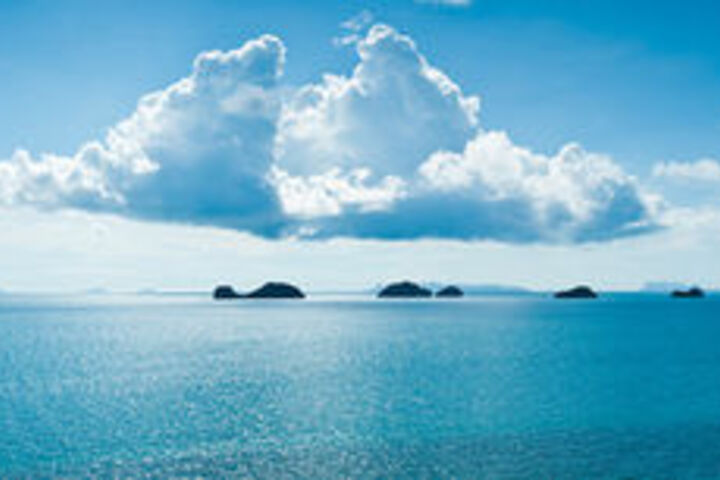 Beach or Ocean View