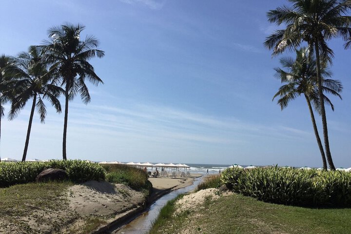Beach 406 of 487