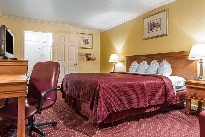 1 King Bed Accessible (5 of 16)
