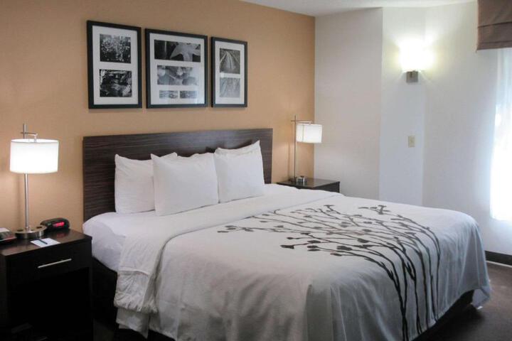 1 King Bed (7 of 7)
