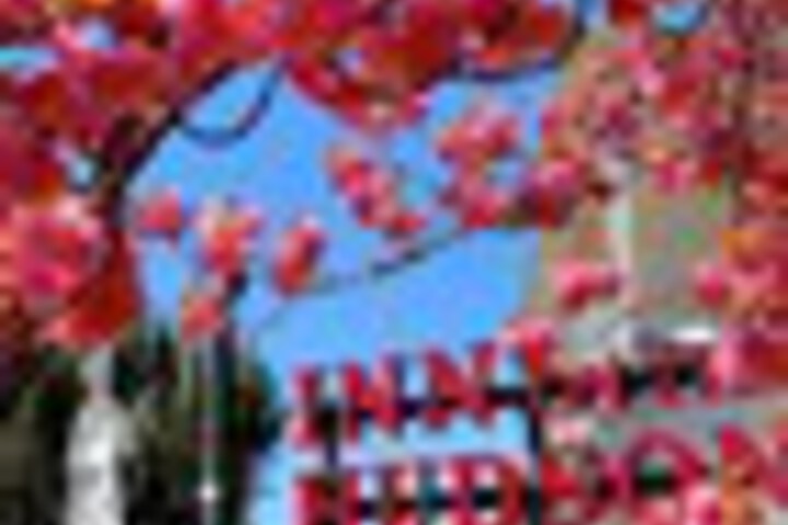 Hotel 119 of 168