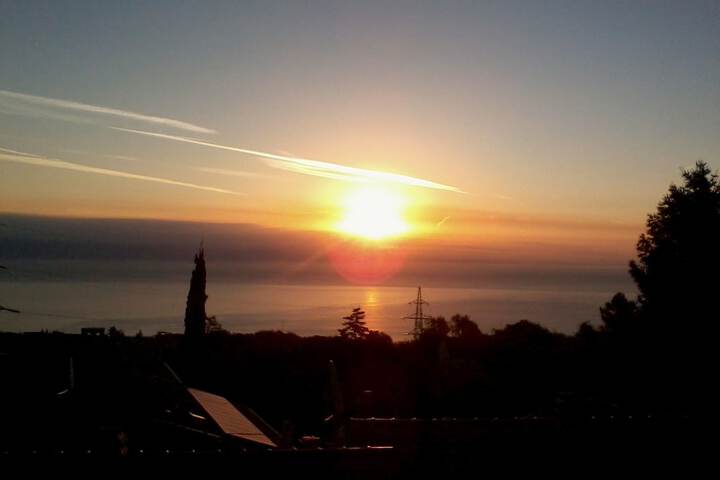View from room