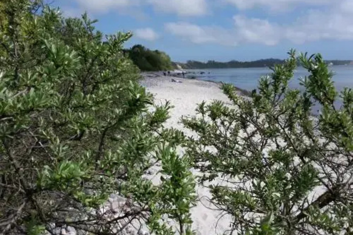 Beach 15 of 24