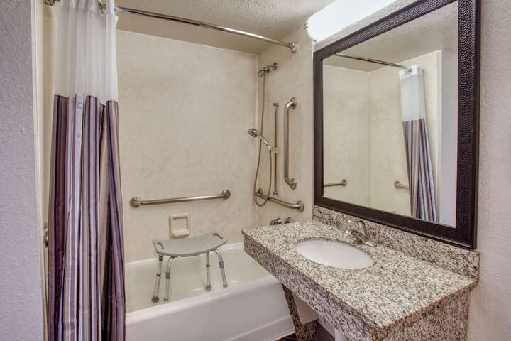 1 King Bed Accessible (7 of 18)