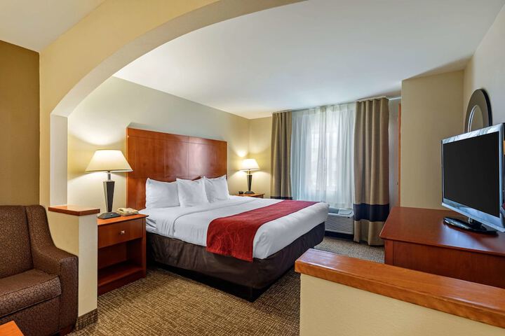 1 King Bed Suite (10 of 44)