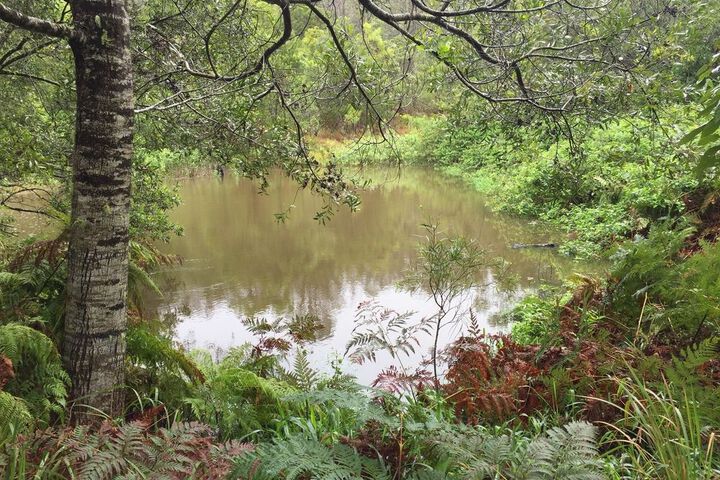 Property Grounds 43 of 63