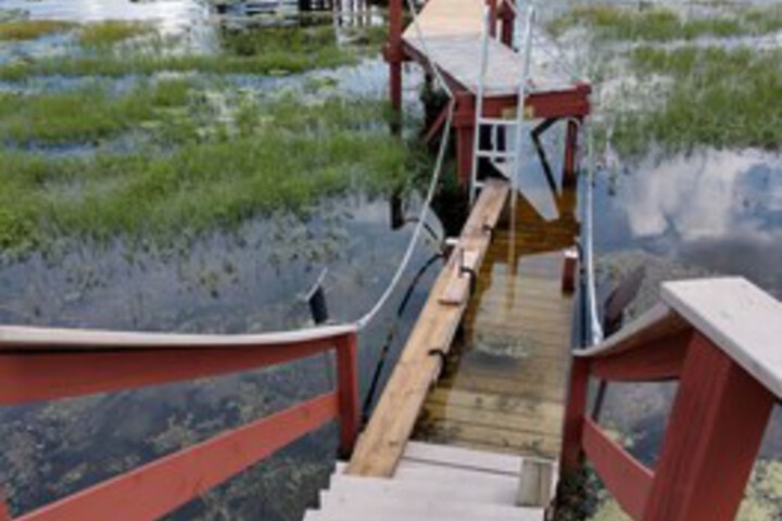 Property Grounds 38 of 66