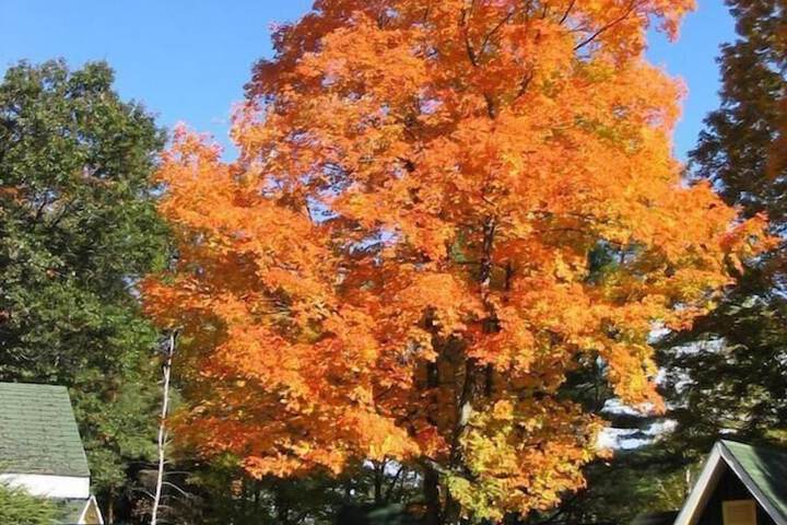 Property Grounds 29 of 42