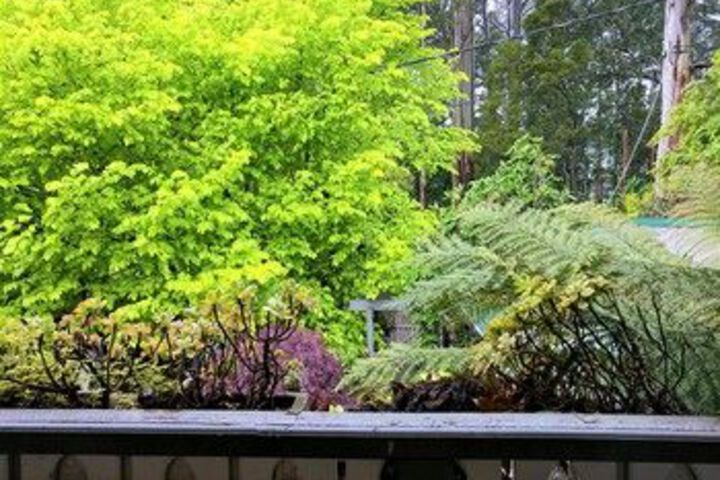 Terrace/Patio 5 of 91