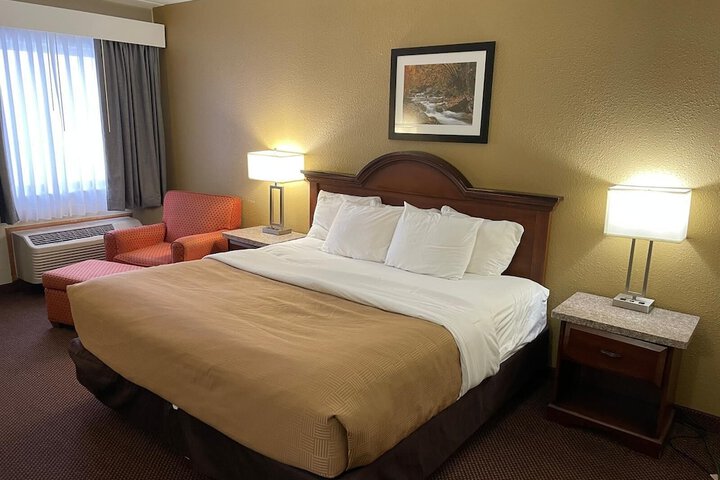 1 King Bed (5 of 10)